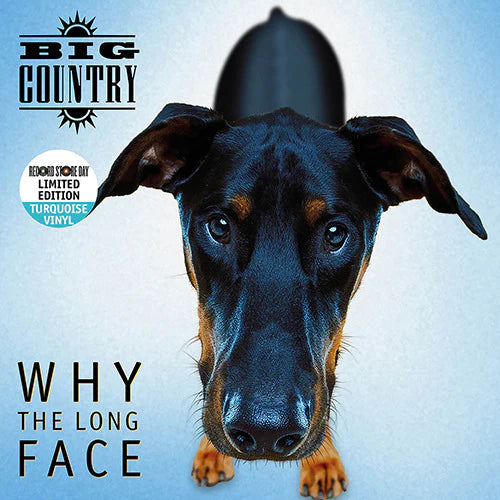 RSD BIG COUNTRY - Why The Long Face - 1 LP - Tourquoise Vinyl