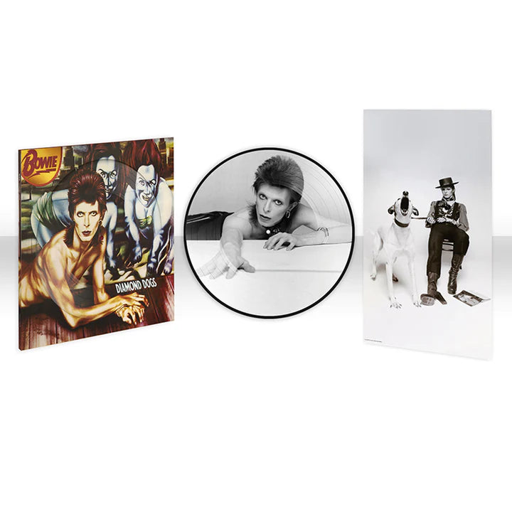 Preorder - David Bowie - Diamond Dogs LP (50th Anniversary Limited Edition Picture Disc) (Out May 24th)