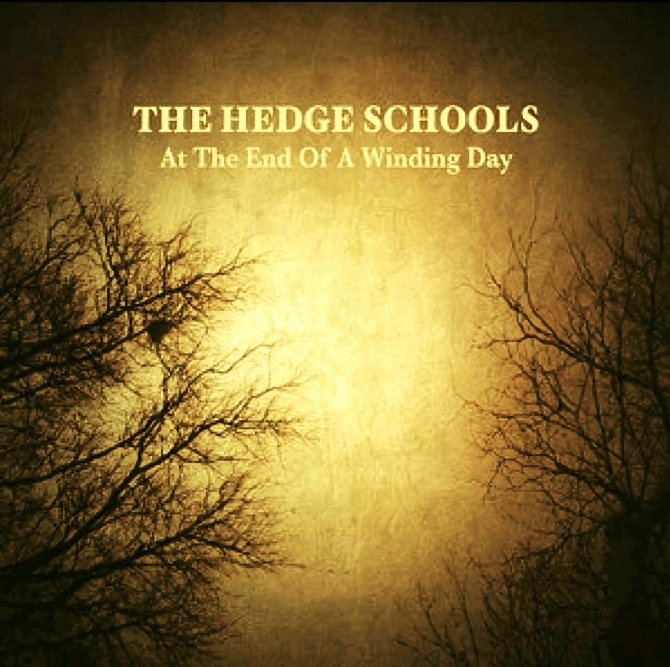 Pre Order: LTD  Hedge Schools - At The End Of A Winding Day LP out  pre summer 2024