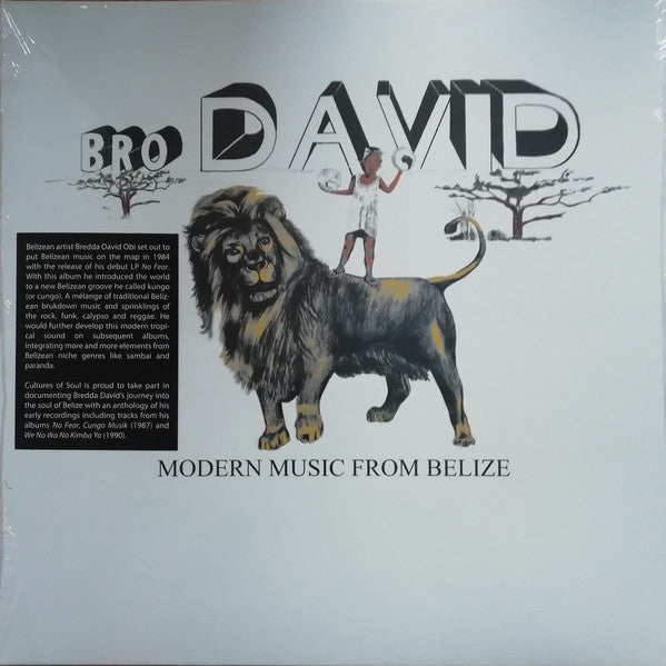 Bro David – Modern Music From Belize LP