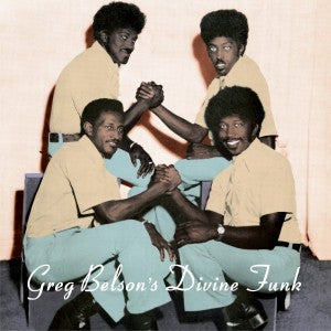 Various Artists - Greg Belson – Divine Funk (Rare American Gospel Funk And Soul) LP