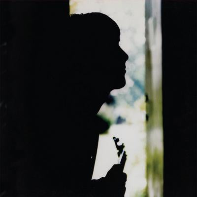 Paul Weller – Wild Wood LP