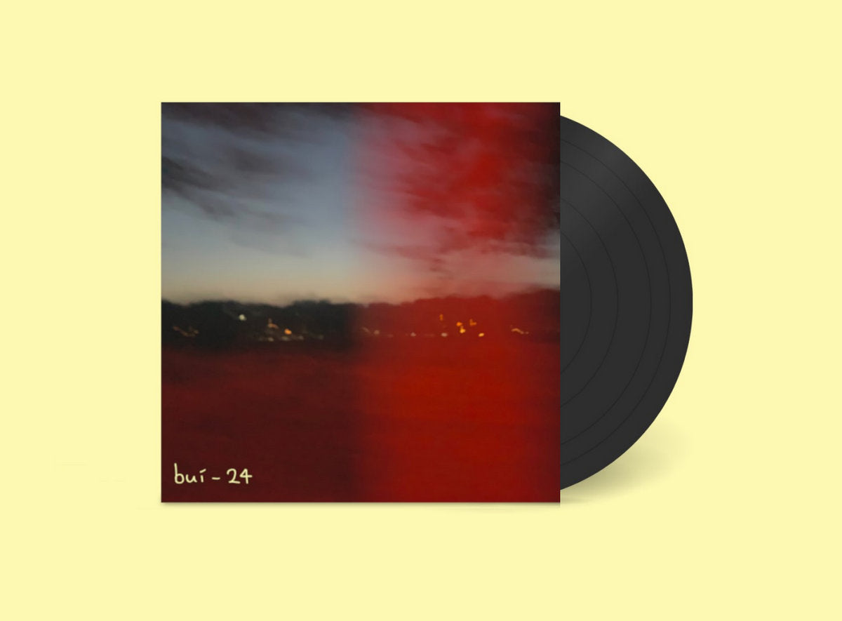 Buí - 24 LP Vinyl