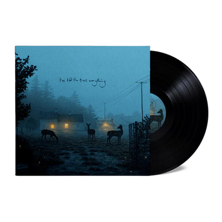 Dermot Kennedy - I’ve Told The Trees Everything 12" EP