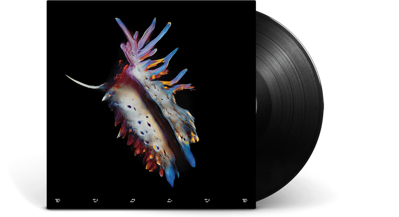 Sub Focus – Evolve 2LP