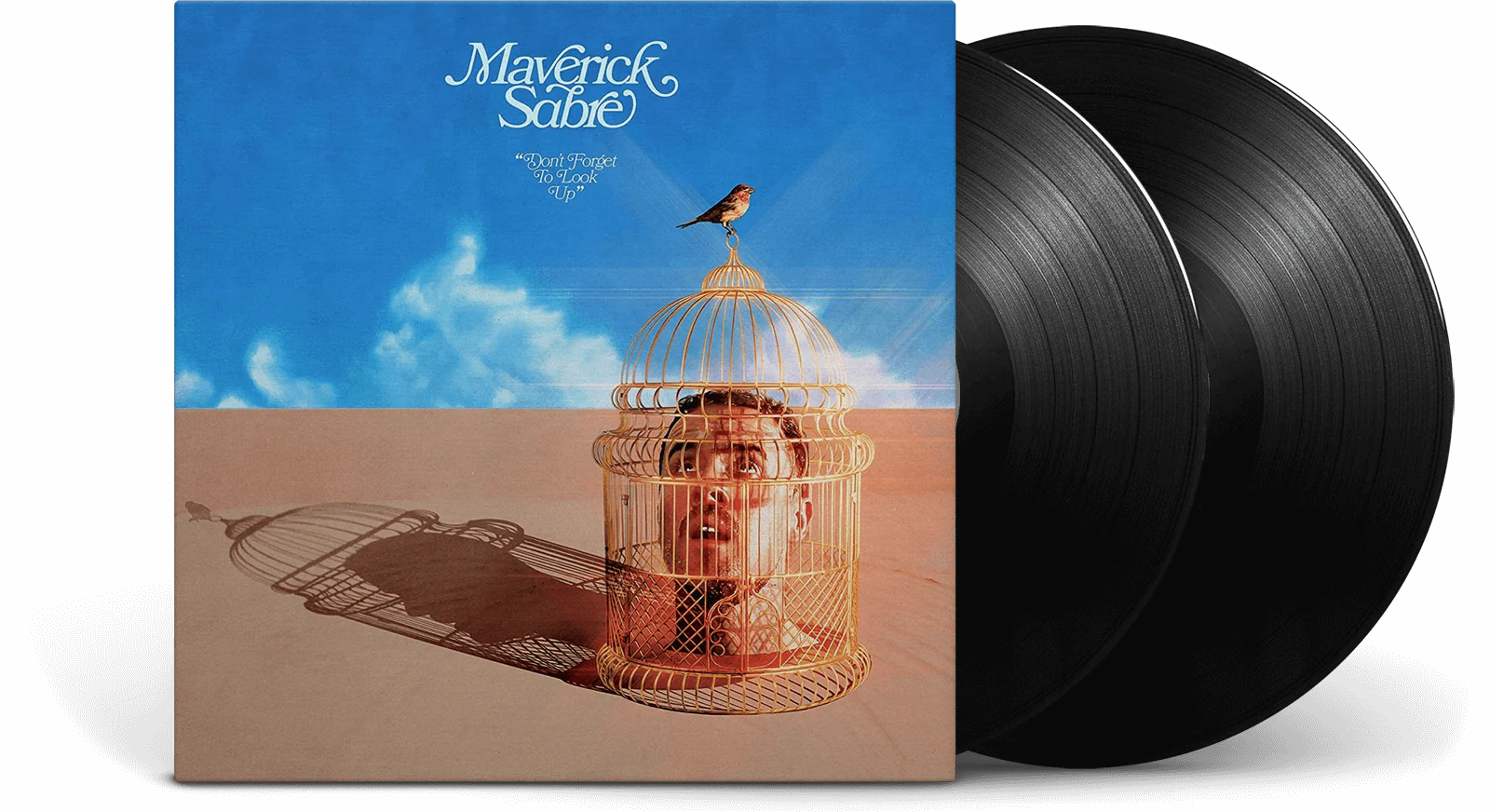 Maverick Sabre - Don't Forget To Look Up [2LP Vinyl]