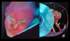 Fontaines DC -  Dopamine Chamber Pre Order Oct 16th