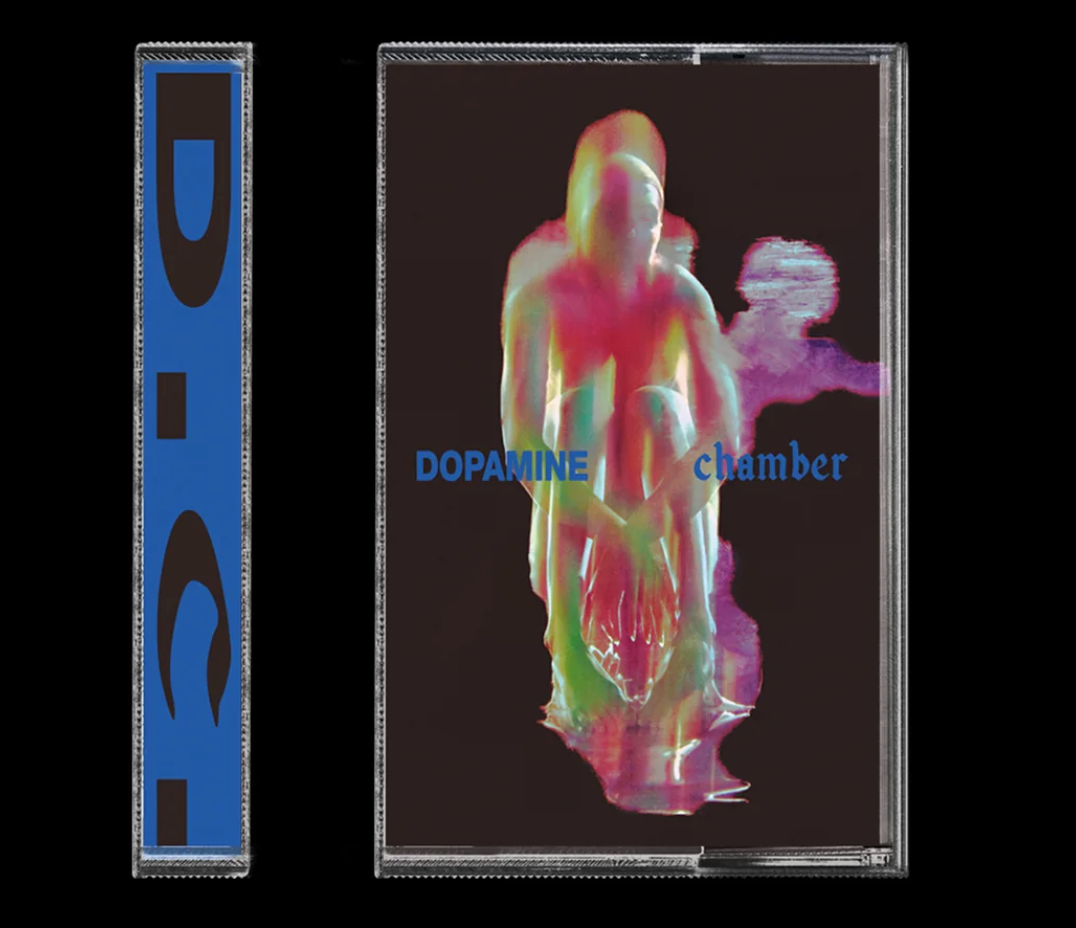 Fontaines DC -  Dopamine Chamber Pre Order Oct 16th