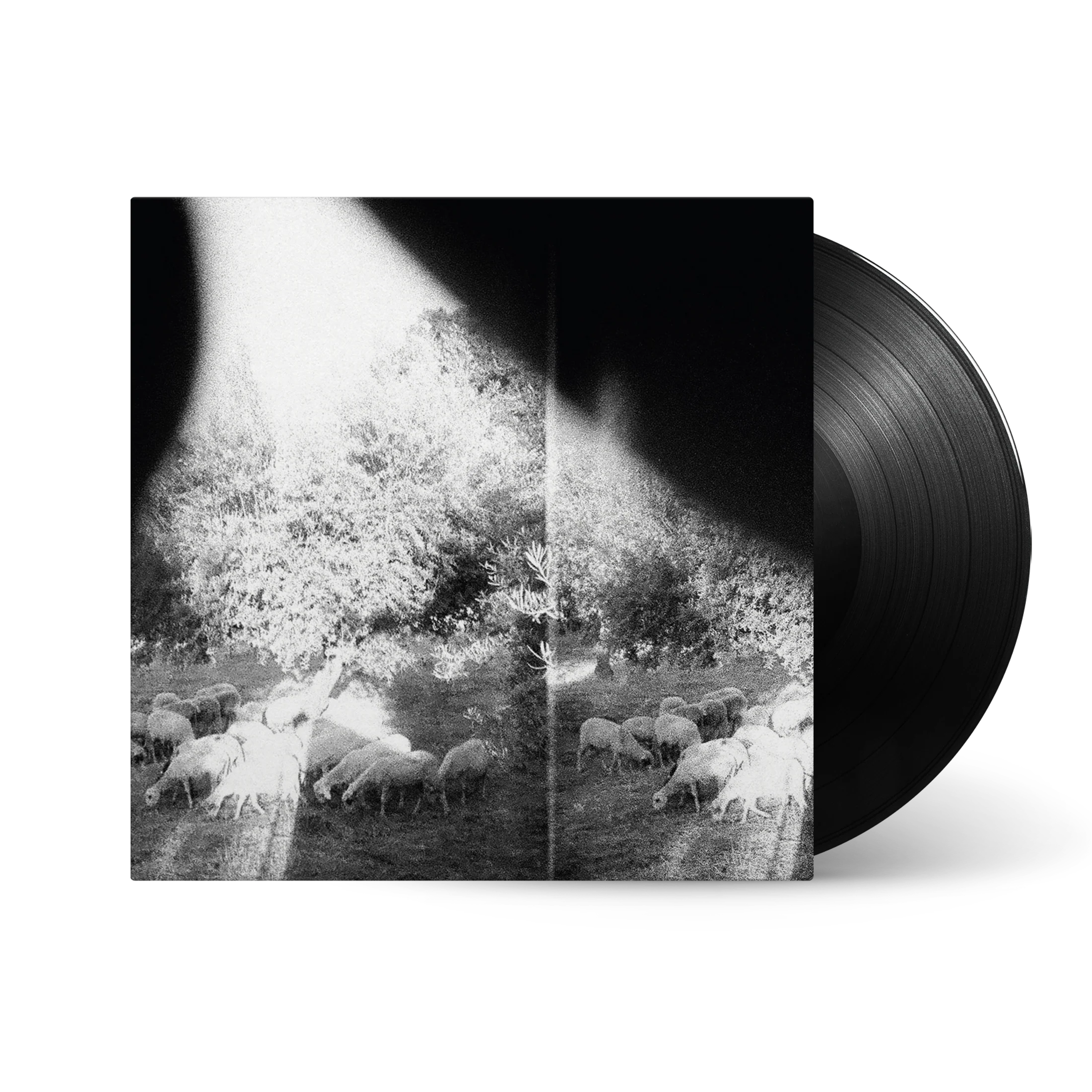 Godspeed You Black Emperor - Asunder, Sweet And Other Distress