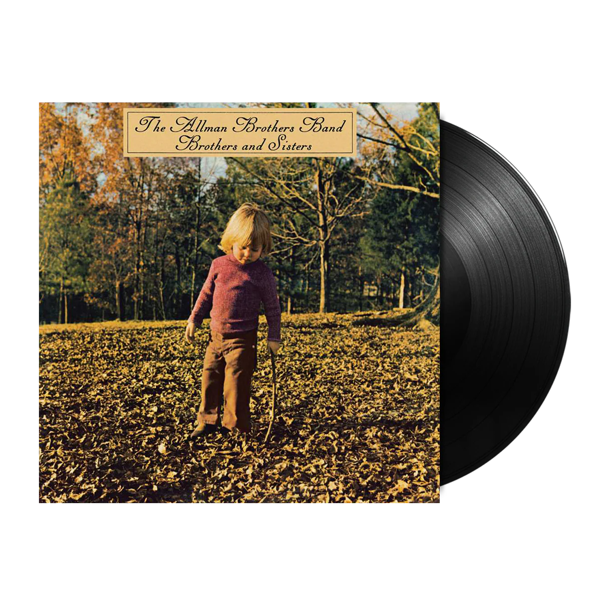 The Allman Brothers Band – Brothers And Sisters LP