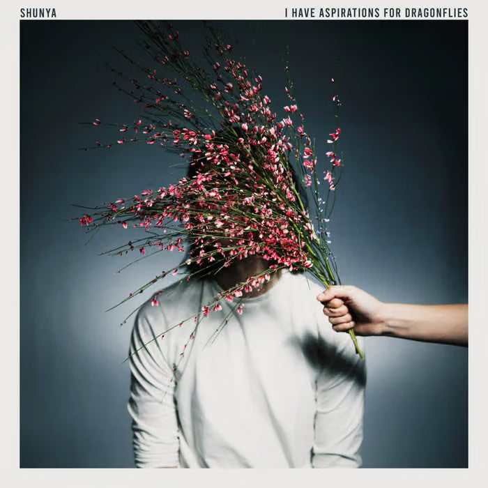 Shunya - I Have Aspirations For Dragonflies LP Vinyl