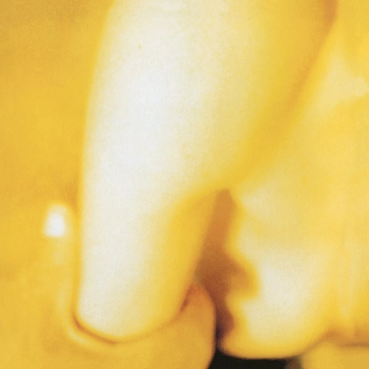 The Smashing Pumpkins - Pisces Iscariot LP Vinyl