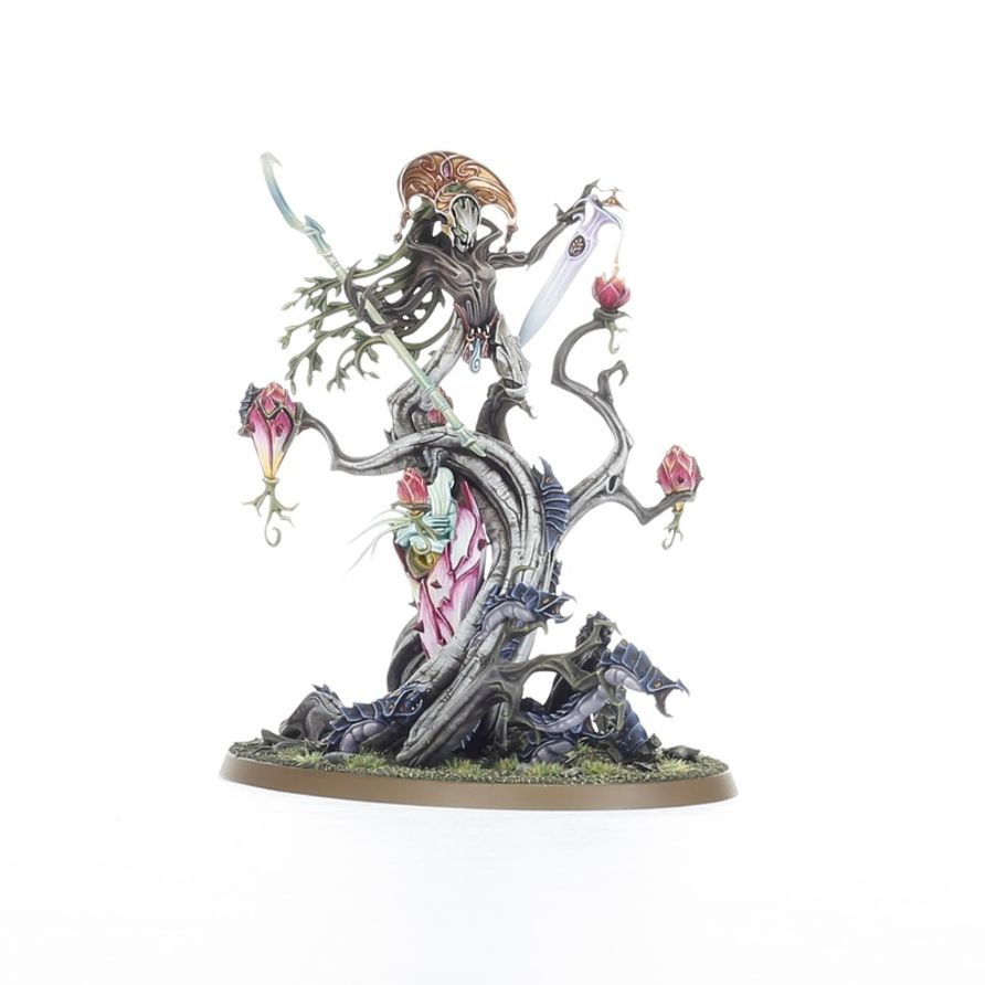 Warhammer Age of Sigmar: Sylvaneth - Grove Guardian