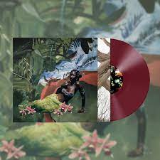 Muva Of Earth - Align With Nature's Intelligence (AWNI) LP Burgundy Vinyl