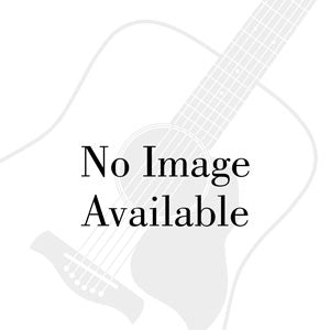 Richwood Artist Series Semi Acoustic Guitar RA12CEBK