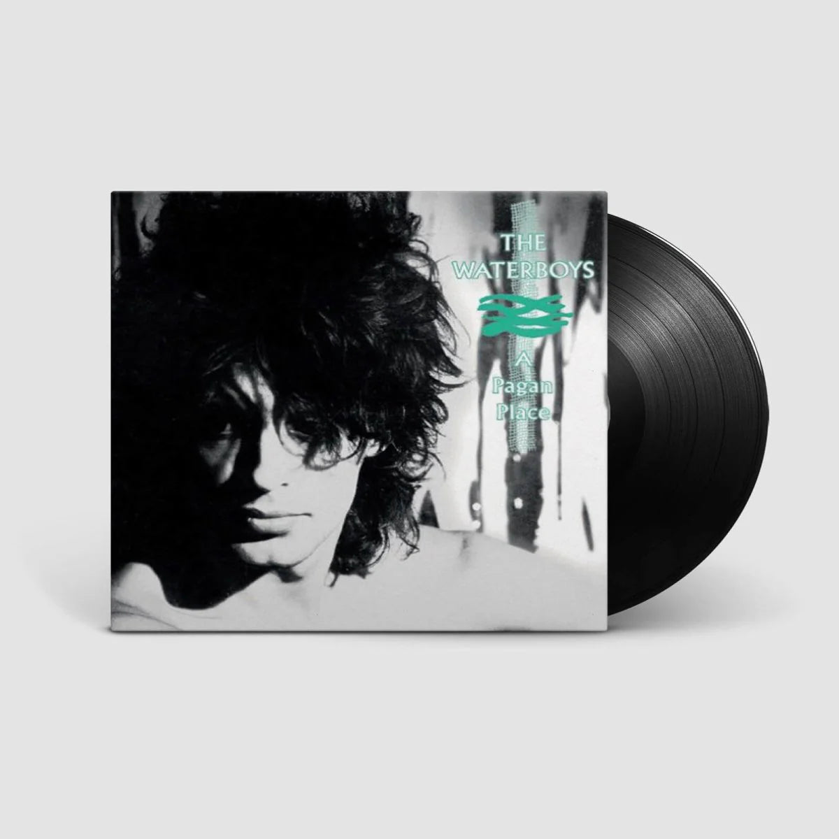 Waterboys - A Pagan Place LP