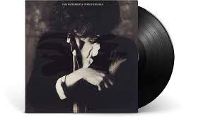 Waterboys – This Is The Sea LP
