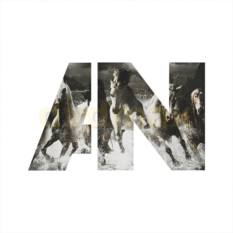 Awolnation - Run CD