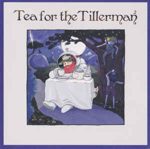 Cat Stevens - Tea For The Tillerman2 CD