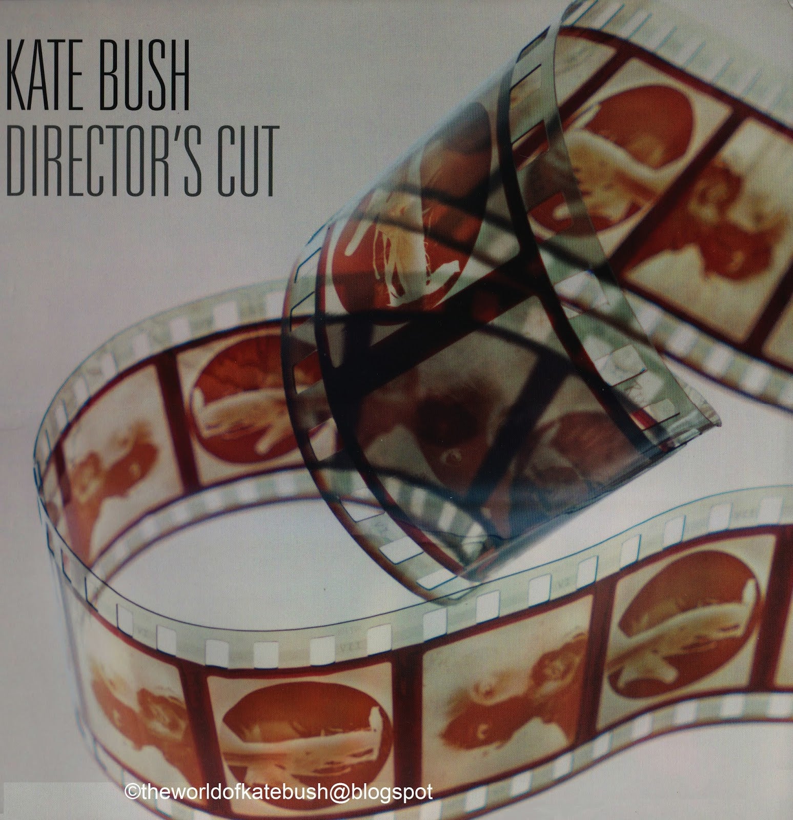 Kate bush directors cut