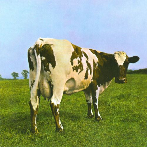 Pink Floyd atom Heart mother