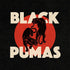 Black Pumas ‎– Black Pumas LP