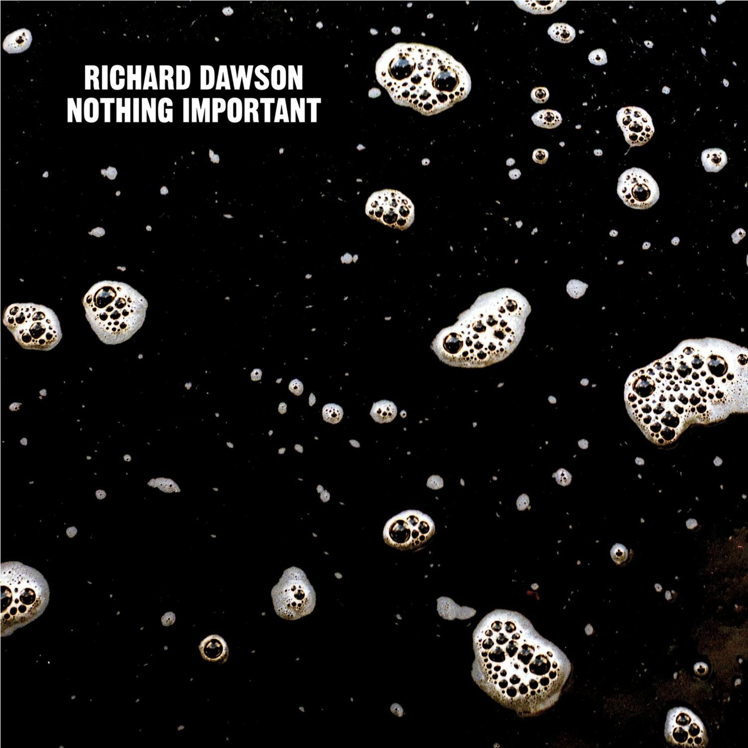 Richard Dawson - Nothing Important LP