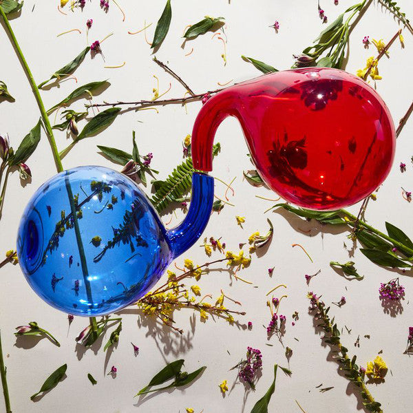 Dirty Projectors ‎– Lamp Lit Prose LP