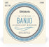 D'Addario Light Phosphor Bronze 5-String Banjo (09-20)