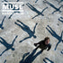 Muse - Absolution 2LP