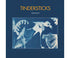 Tindersticks - Distractions CD