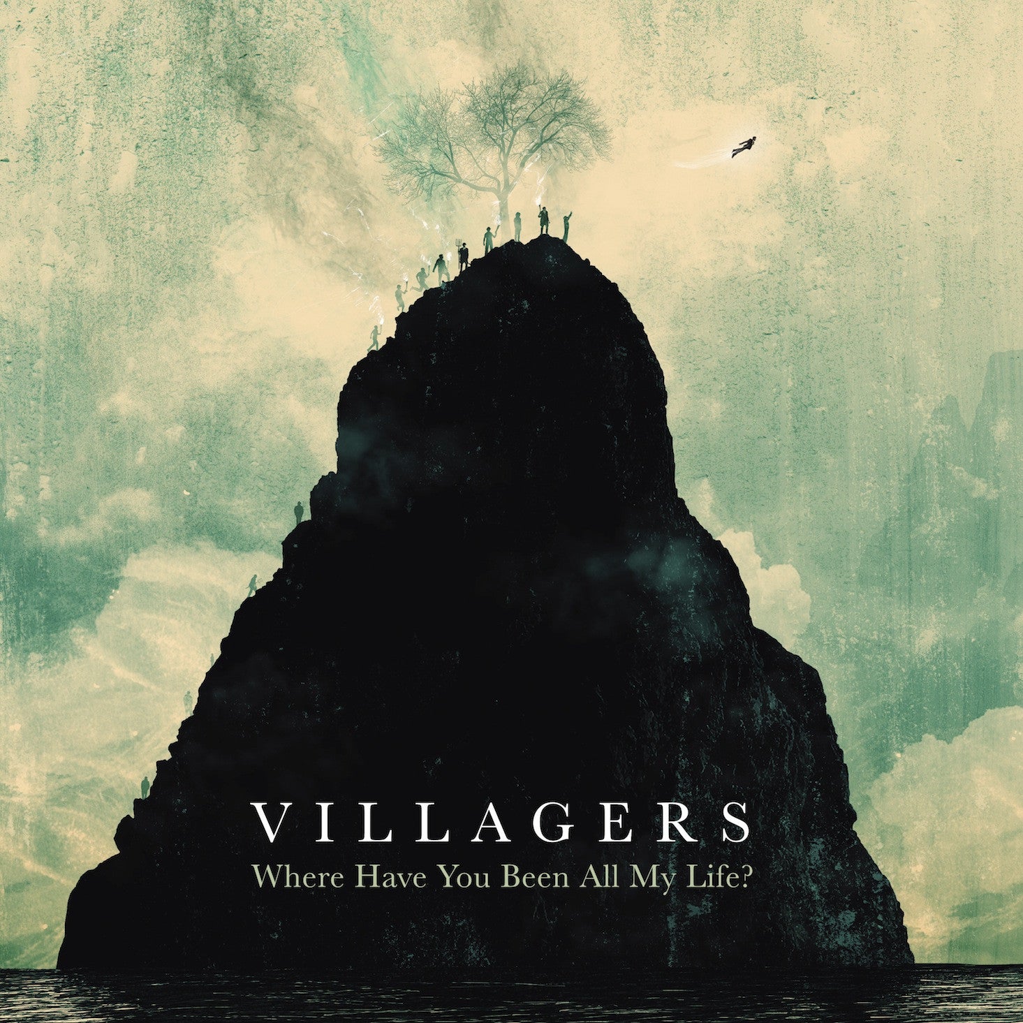 Villagers - Where Have You Been All My Life LP